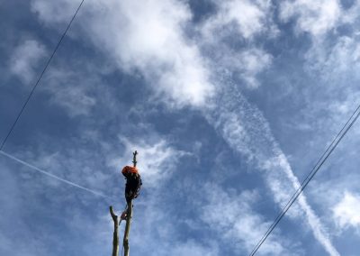 21022019 TPO specification by Salford council Salford Manchester 2