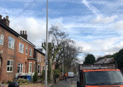 21022019 TPO specification by Salford council Salford Manchester 4