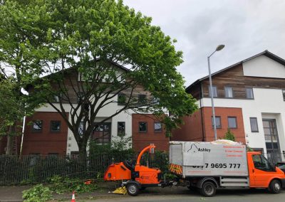 09052019 Various tree jobs Didsbury 11