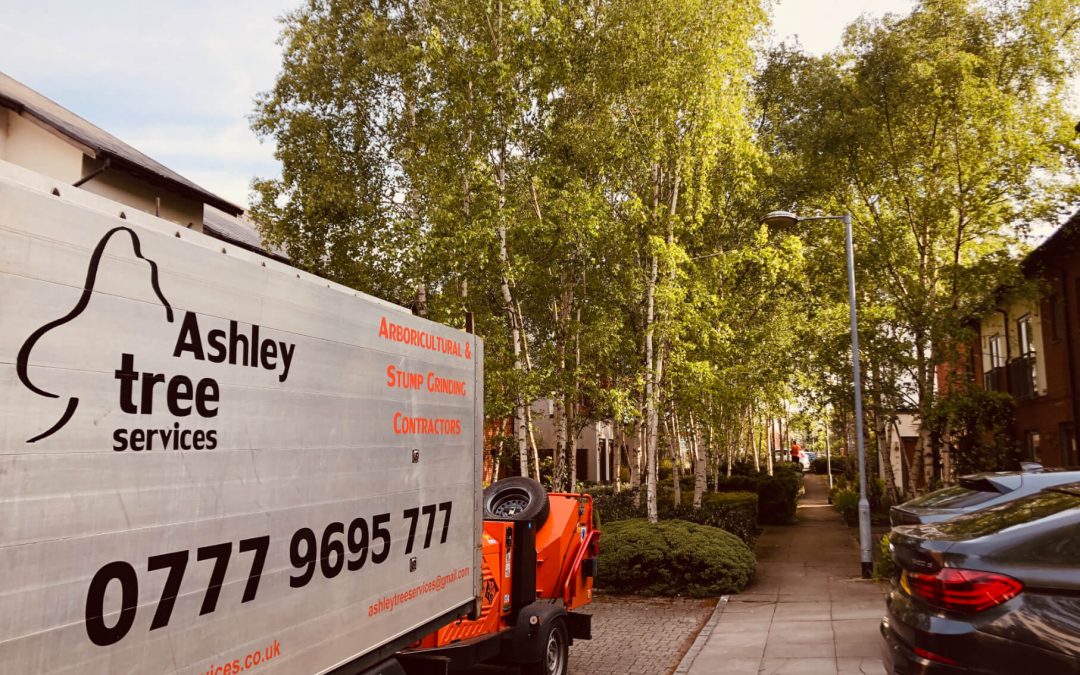 Various tree job activities for property management company in Didsbury, Manchester – 07.05. – 09.05.2019.