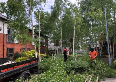 09052019 Various tree jobs Didsbury 4