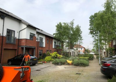 09052019 Various tree jobs Didsbury 5