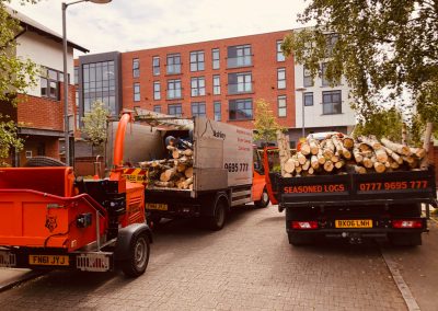 09052019 Various tree jobs Didsbury 7