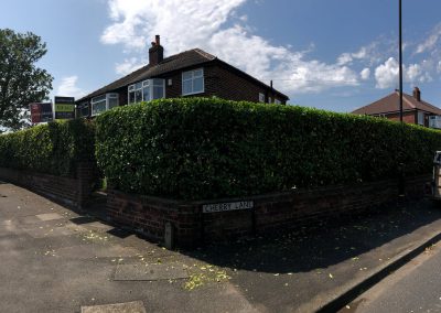 21062019 hedge trimming sale manchester 11