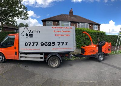 21062019 hedge trimming sale manchester 2