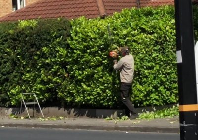 21062019 hedge trimming sale manchester 4
