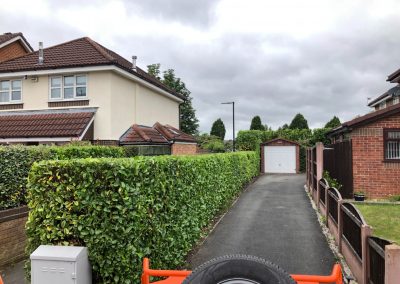21062019 hedge trimming sale manchester 5