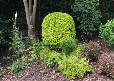 21062019 hedge trimming sale manchester 6