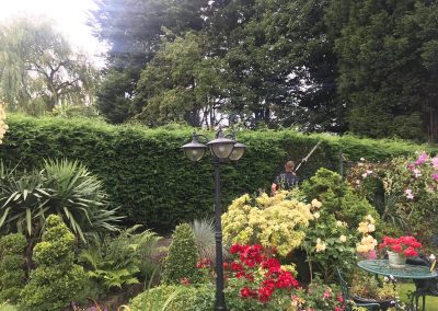 21062019 hedge trimming sale manchester 8