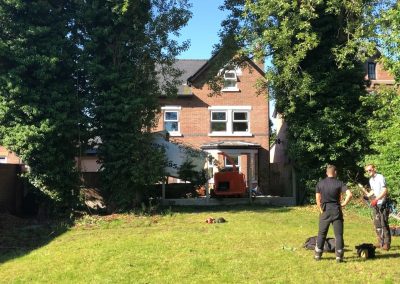 27062019 tree felling sale manchester 2