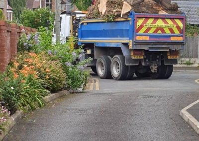 27062019 tree felling sale manchester 8