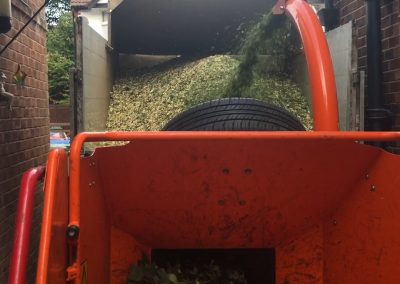 01082019 Large sycamore tree removal Prestwich Manchester 14