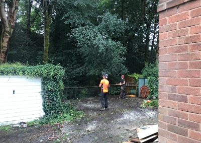 01082019 Large sycamore tree removal Prestwich Manchester 16