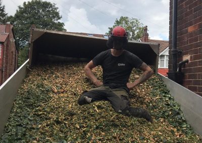 01082019 Large sycamore tree removal Prestwich Manchester 8