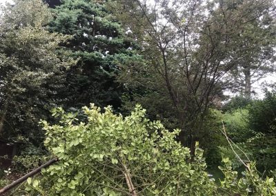 30082019 full garden clearance Prestwich Manchester 1