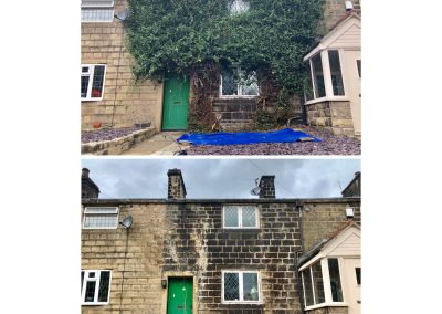 30082019 ivy removal Ramsbottom manchester 3