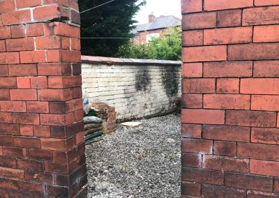 03092019 medium size sycamore tree removal Salford Eccles 6