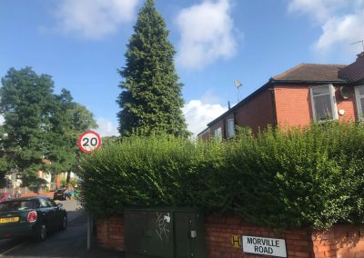 04092019 complete conifer removal chorlton manchester 1