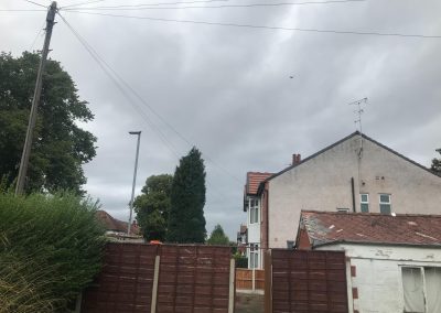 04092019 complete conifer removal chorlton manchester 13