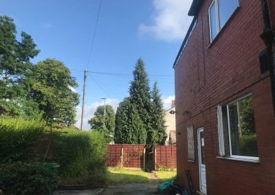 04092019 complete conifer removal chorlton manchester 2