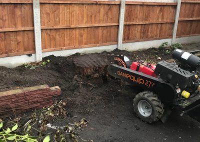16092019 stump grinding chorlton manchester 3