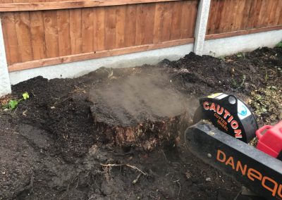 16092019 stump grinding chorlton manchester 4