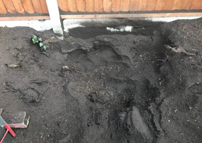 16092019 stump grinding chorlton manchester 5