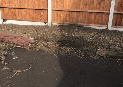 16092019 stump grinding chorlton manchester 6
