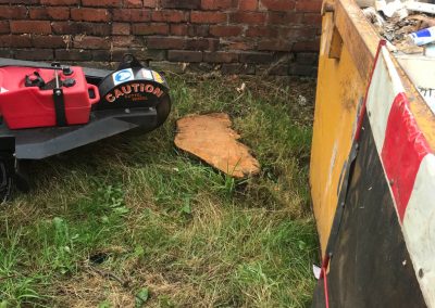 16092019 stump grinding chorlton manchester 7