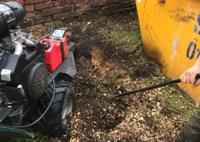16092019 stump grinding chorlton manchester 8