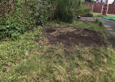 16092019 stump grinding chorlton manchester 9