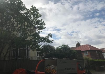 02092018 prestwich ash and eucalyptus removal 6