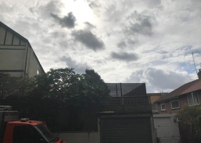 02092018 prestwich ash and eucalyptus removal 7