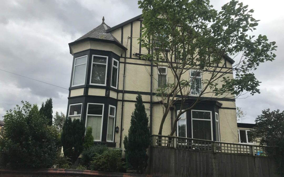 Ash and Eucalyptus removal, Prestwich, Manchester, 02.09.2018.