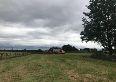 03092018 northwich silver birch crown lift 2