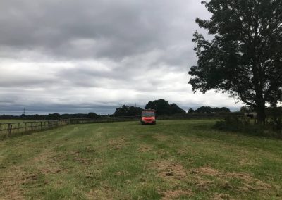 03092018 northwich silver birch crown lift 3