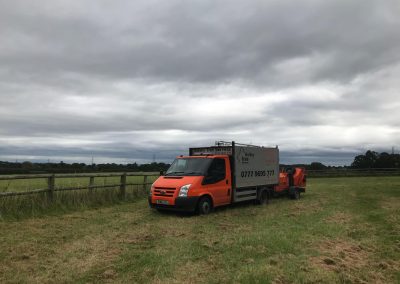 03092018 northwich silver birch crown lift 4