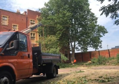 27082019 london plane trees felling trafford park hotel manchester 10