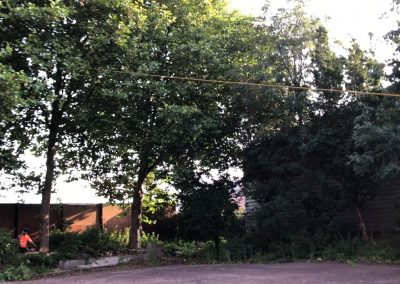 27082019 london plane trees felling trafford park hotel manchester 2