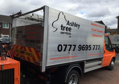 Building new tree truck 11