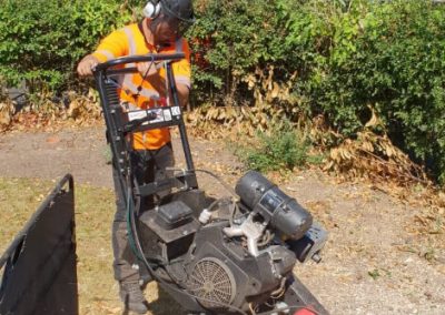 Complete tree removal and stump grinding Winnishaw 11