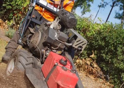 Complete tree removal and stump grinding Winnishaw 12