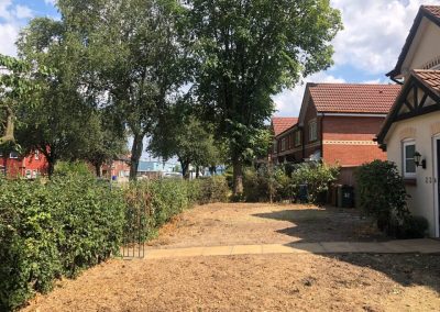 Complete tree removal and stump grinding Winnishaw 15