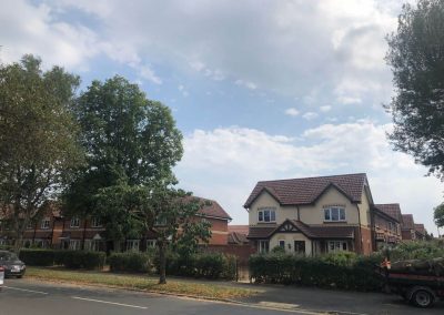 Complete tree removal and stump grinding Winnishaw 3