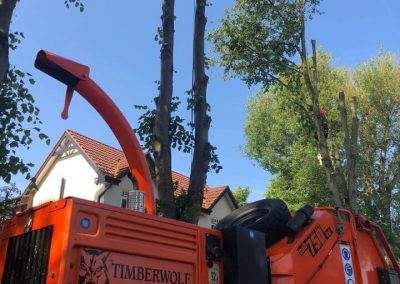 Complete tree removal and stump grinding Winnishaw 7