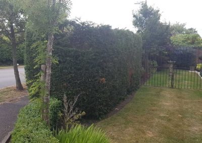 Garden makeover Winsford Cheshire 4