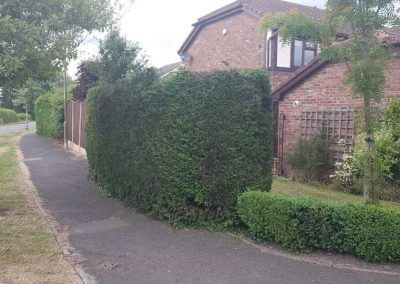 Garden makeover Winsford Cheshire 5