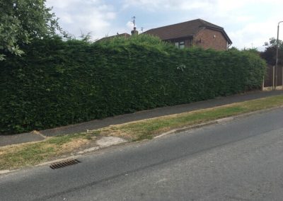 Garden makeover Winsford Cheshire 6