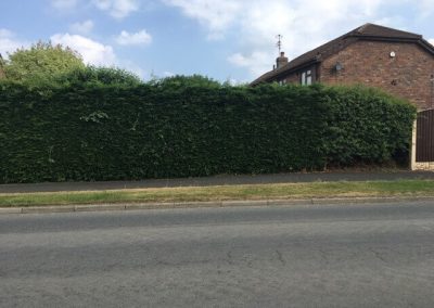 Garden makeover Winsford Cheshire 7