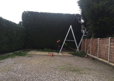Leylandii hedge cutting Stockport 1